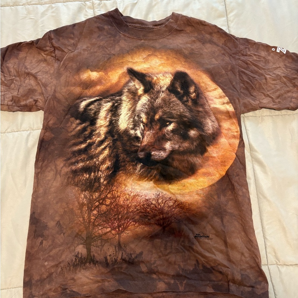 The Mountain Brown Graphic Tee